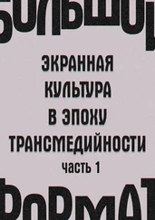 Е. Сальникова - Большой формат - экранная культура в эпоху трансмедийности. Часть 1