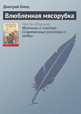 Дмитрий Емец Влюбленная мясорубка обложка книги