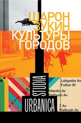 Шарон Зукин - Культуры городов