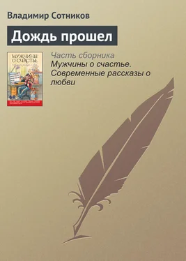 Владимир Сотников Дождь прошел обложка книги