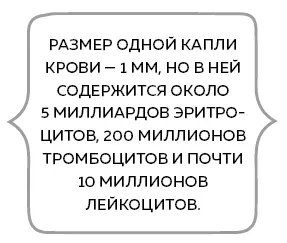 Пересчитав это количество учитывая весь объем крови в организме мы получим 25 - фото 10