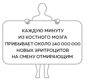 Кислородные шлюпки напротив настолько худосочные что в них даже нет - фото 11