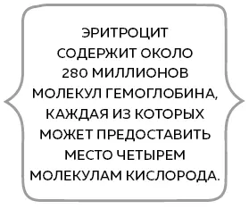 Кстати подсчет пассажиропотока это для нас врачей надежный метод - фото 14