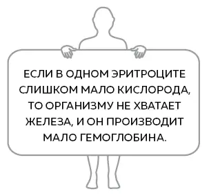 В остальном в наших кровеносных путях все работает примерно так же как в - фото 15
