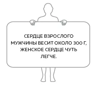 А это что такое Несколько капель крови уютно расположились в какомто отростке - фото 16