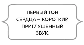 В другой половине происходит между тем нечто подобное правый желудочек - фото 20