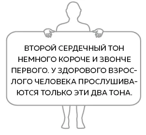 В нашем теле таким резервуаром служит аорта этот расположенный прямо позади - фото 22