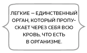 Легкие при распределении крови находятся вне конкуренции У них же есть свой - фото 26