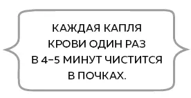 А вот у некоторых существ кровь на самом деле голубая В их числе пауки - фото 28