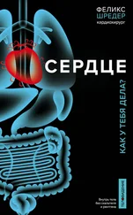 Нина Вебер - Сердце. Как у тебя дела?