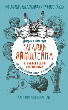 Джереми Стэнгрум Загадки Эйнштейна. А вы бы съели своего кота? 30 удивительных задач и головоломок обложка книги