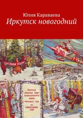 Юлия Караваева - Иркутск новогодний