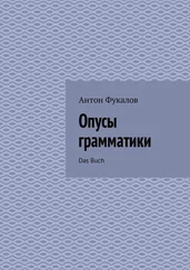 Антон Фукалов - Опусы грамматики. Das Buch