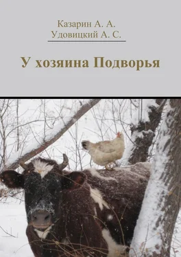 Алексей Казарин У хозяина Подворья обложка книги