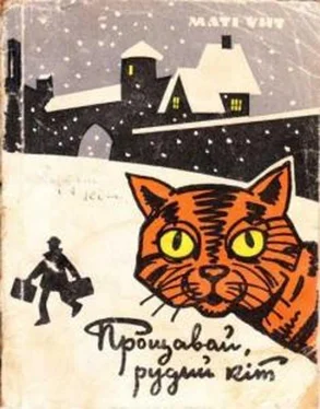 Маті Унт Прощавай, рудий кіт обложка книги