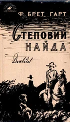 Френсис Брет Гарт - Степовий найда