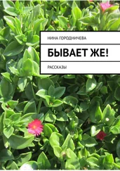 Нина Городничева - Бывает же! Рассказы