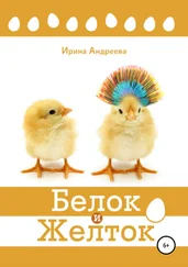 Ирина Андреева - Белок и Желток