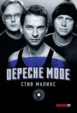 Стив Малинс Depeche Mode обложка книги