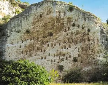 Скалаулей недалеко от деревни ДолноЧерковиште Крумовград Около 300 - фото 6