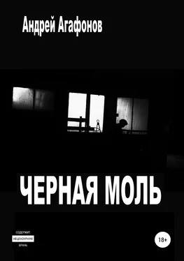 Андрей Агафонов Черная моль обложка книги