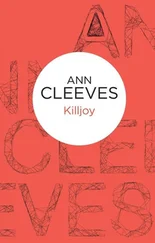 Ann Cleeves - Killjoy