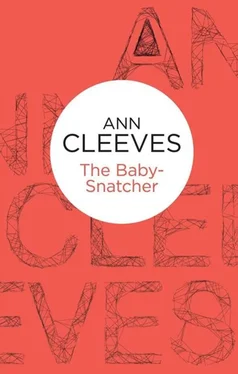 Ann Cleeves The Baby-Snatcher обложка книги