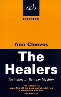 Ann Cleeves The Healers обложка книги