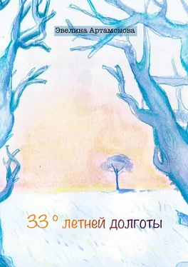 Эвелина Артамонова 33° летней долготы обложка книги