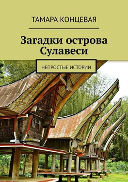 Тамара Концевая Загадки острова Сулавеси. Непростые истории обложка книги