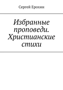 Сергей Ерохин Избранные проповеди. Христианские стихи. Избранные проповеди Ерохина Сергея Серафимовича на церковный год. Христианские стихи обложка книги