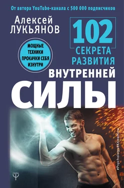 Алексей Лукьянов 102 секрета развития внутренней силы. Мощные техники прокачки себя изнутри обложка книги