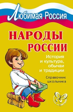 Ирина Синова Народы России. История и культура, обычаи и традиции обложка книги