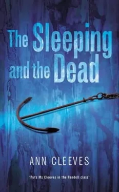 Ann Cleeves The Sleeping and the Dead обложка книги