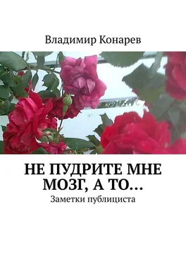 Владимир Конарев Не пудрите мне мозг, а то… Заметки публициста обложка книги