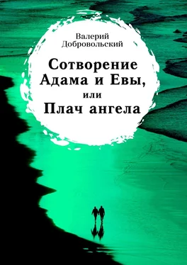 Валерий Добровольский Сотворение Адама и Евы, или Плач ангела обложка книги