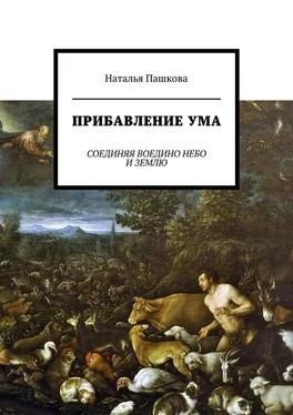 Наталья Пашкова Прибавление ума. Соединяя воедино небо и землю обложка книги