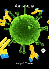 Андрей Утаник - Антитела