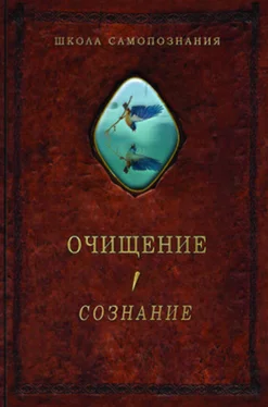 Александр Шевцов Очищение. Том 1. Организм. Психика. Тело. Сознание