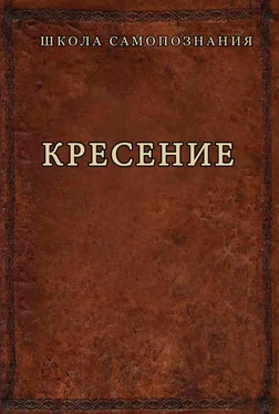Александр Шевцов Кресение обложка книги