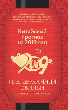 Татьяна Мизгирева Китайский прогноз на 2019 год. Год Земляной Свиньи обложка книги