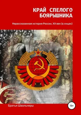 Братья Швальнеры Край спелого боярышника: нерассказанная история России, ХХ век обложка книги