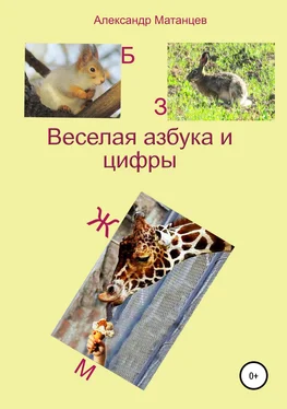 Александр Матанцев Веселая азбука и цифры обложка книги