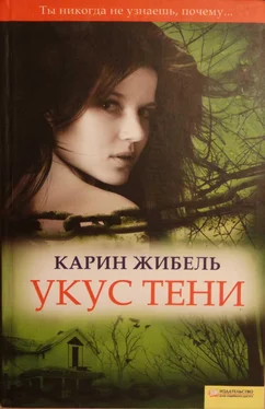 Карин Жибель Укус тени обложка книги