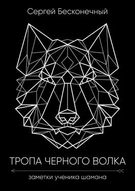 Сергей Бесконечный Тропа чёрного волка: Заметки ученика шамана обложка книги