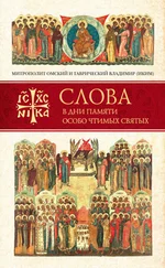 митрополит Владимир (Иким) - Слова в дни памяти особо чтимых святых. Книга вторая. Июнь