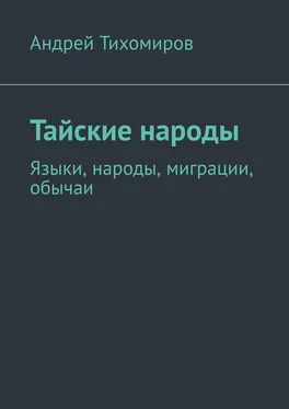 Андрей Тихомиров Тайские народы. Языки, народы, миграции, обычаи обложка книги