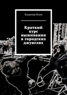 Владимир Исаев Краткий курс выживания в городских джунглях обложка книги