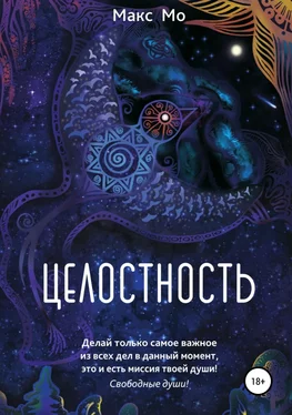 Макс Мо Целостность обложка книги