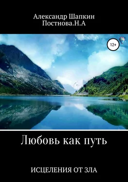 Александр Шапкин Любовь как путь исцеления от зла обложка книги